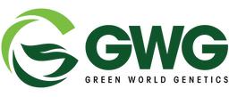 company image